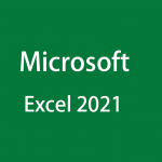 Excel 2024