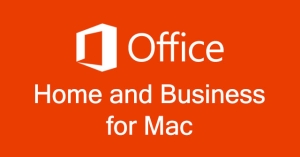 Office home & business 2021価格
