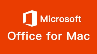 office2023